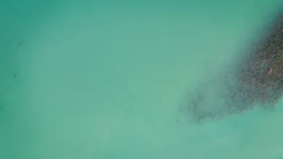 Casino Lucky Luke Support